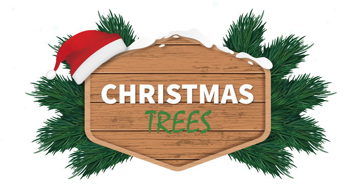 christmas trees banner