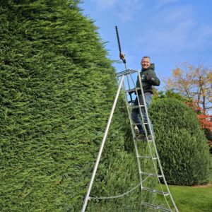 Hedge cutting - 2 gardeners for 2 hours - Monthly Subscription
