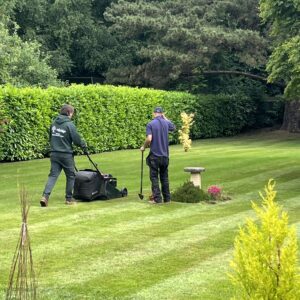 Mowing and streaming - 2 visits x 1 hour - Monthly Subscription