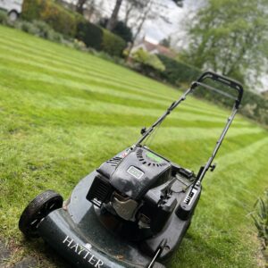 Mowing and streaming - 1 visit x 2 hours