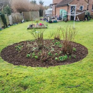 Mowing, streaming & weeding - 2 visits x 1 hour - Monthly Subscription