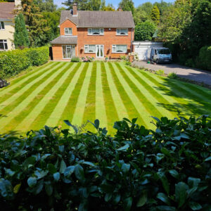 Mowing, streaming & weeding - 2 visits x 1 hour